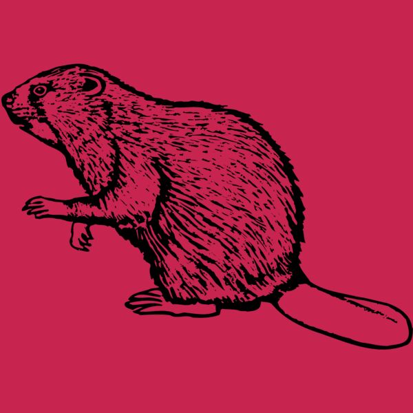 BEAVER03 Thumbnail