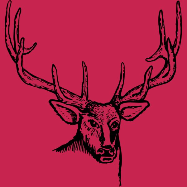 DEER007 Thumbnail