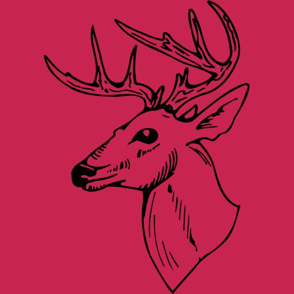 DEER018 Thumbnail
