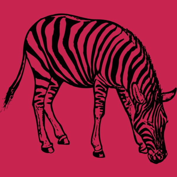 ZEBRA001 Thumbnail