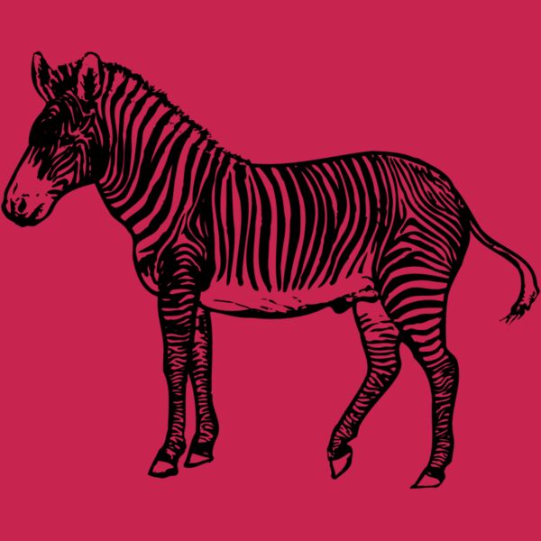 ZEBRA003 Thumbnail