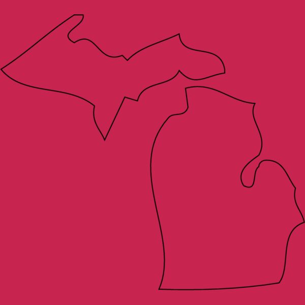 MICHIGAN Thumbnail
