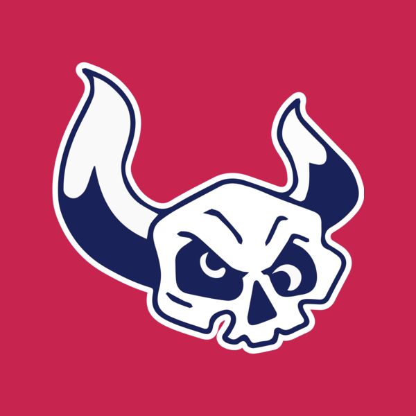 Elements Skulls logo template 38 Thumbnail