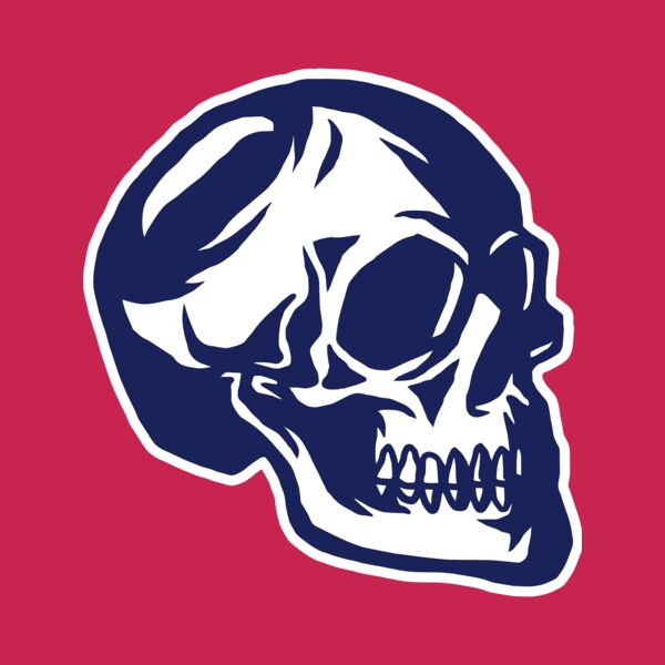 Elements Skulls logo template 139 Thumbnail