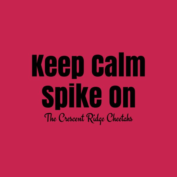 Volleyball 64 Thumbnail