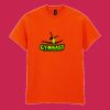 Heavy Cotton™ t-shirt Thumbnail